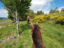 France-Auvergne-Lozère Ride